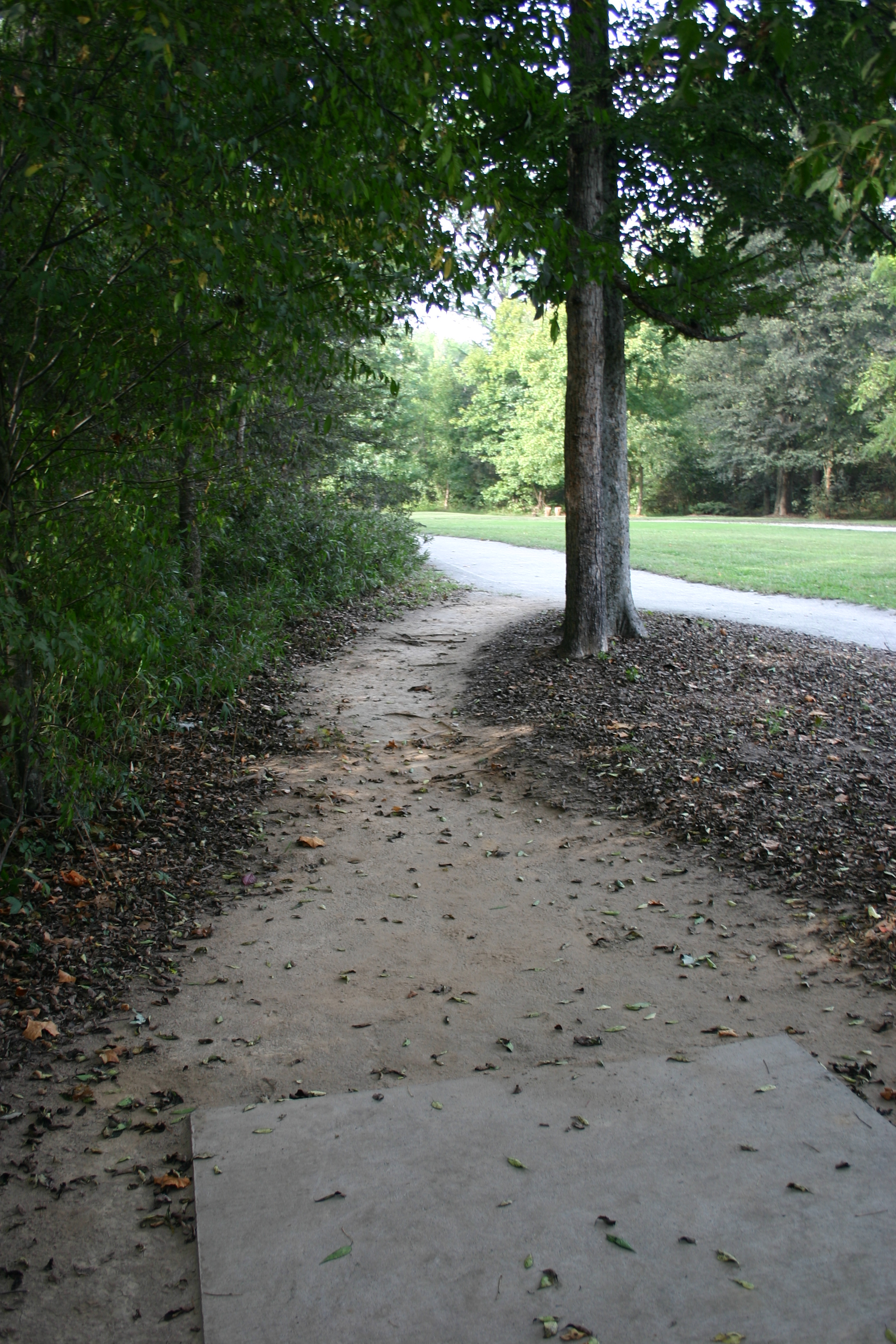 Dorton Park Disc Golf Course Professional Disc Golf Association